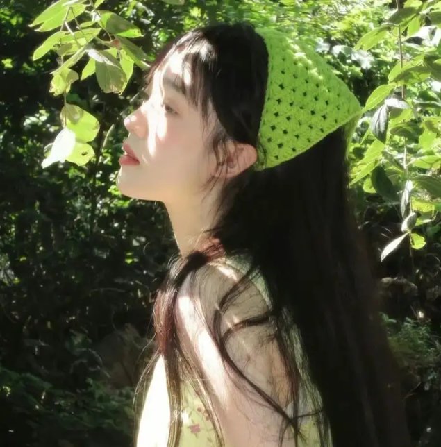 哈妮拉警报